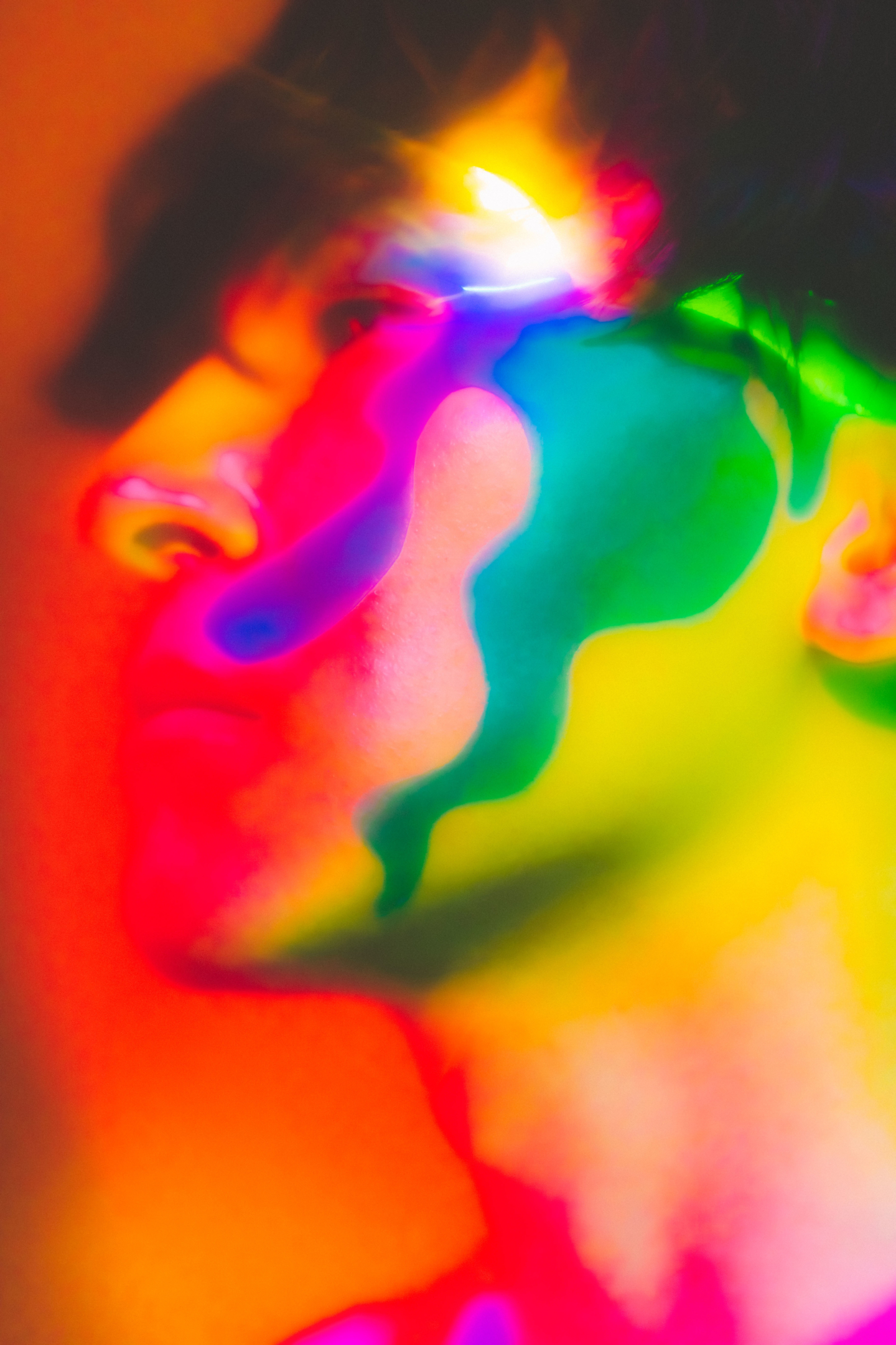 ROTH BART BARON 極彩色の祝祭　アナログレコード　LP レコード ROTH BART BARON 5th AL『極彩色の祝祭』- Loud Color(s