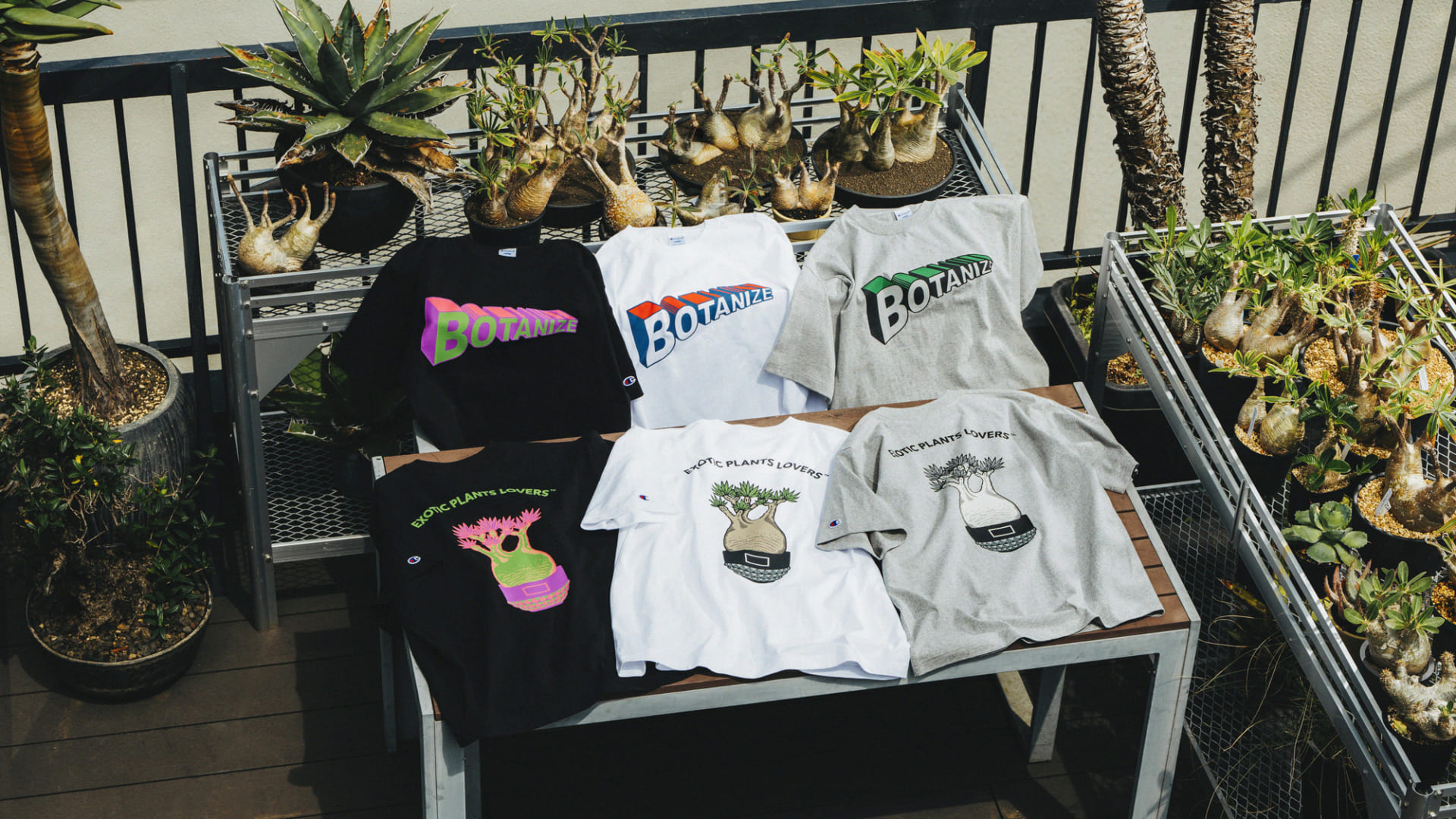 はじめしゃちょー×ポコロンダンジョンズコラボTシャツ Champion × Yusuke Komori ショートスリーブTシャツ(C8-Z367)
