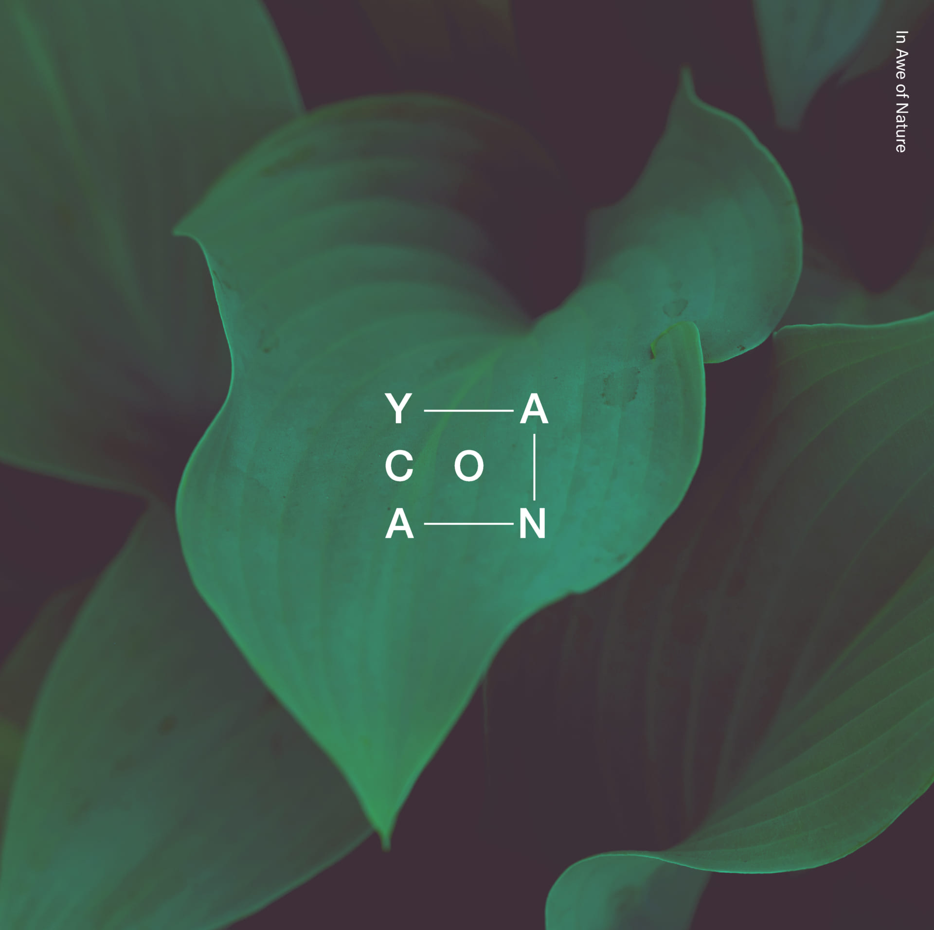 電子音楽家yanacoのニューアルバム『In Awe Of Nature』が 電子音楽家yanacoのニューアルバム『In Awe Of Nature』が